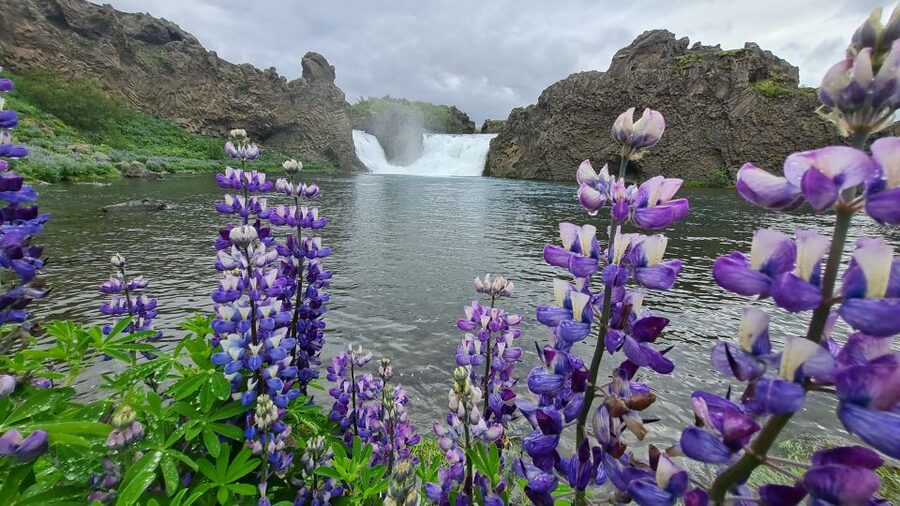 From Reykjavik: Highlands Jeep Tour & Landmannalaugar Hike - Hjálparfoss, Where The Highlands Begin