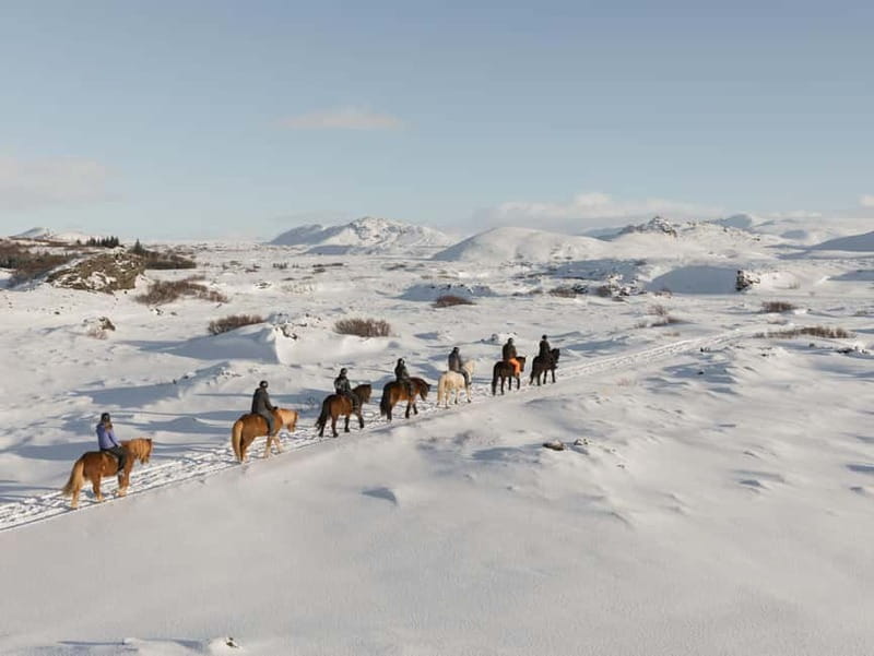 From Reykjavík: Icelandic Horse Riding Tour in Lava Fields - Key Points Before You Book