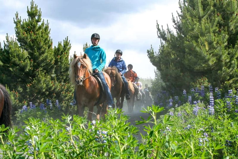 From Reykjavík: Icelandic Horse Riding Tour in Lava Fields - Why This Ride Feels More Icelandic Than a City Tour