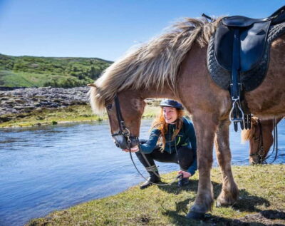 Icelandic Horse Riding Tour in Lava Fields