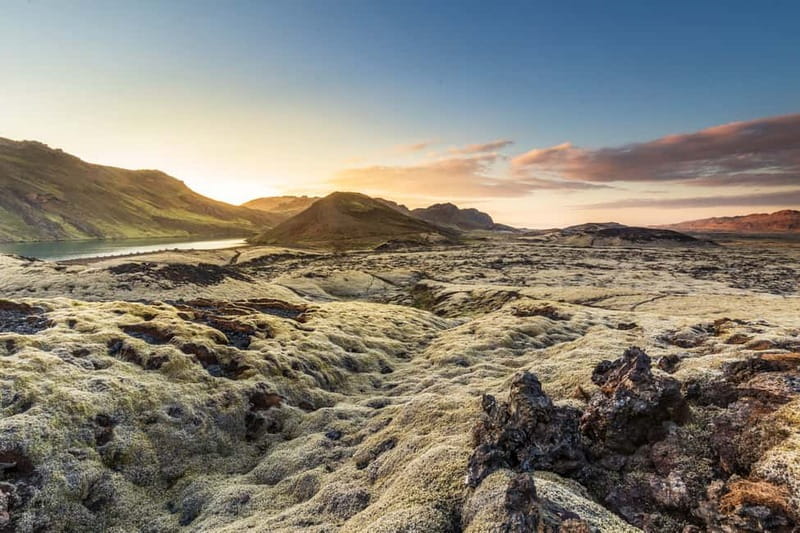 From Reykjavík: Icelandic Horse Riding Tour in Lava Fields - Meeting the Horses and Choosing Your Pace