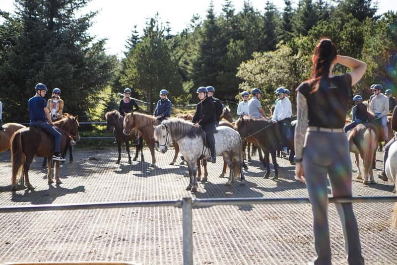 From Reykjavík: Icelandic Horse Riding Tour in Lava Fields - What Beginners Can Expect in the Saddle
