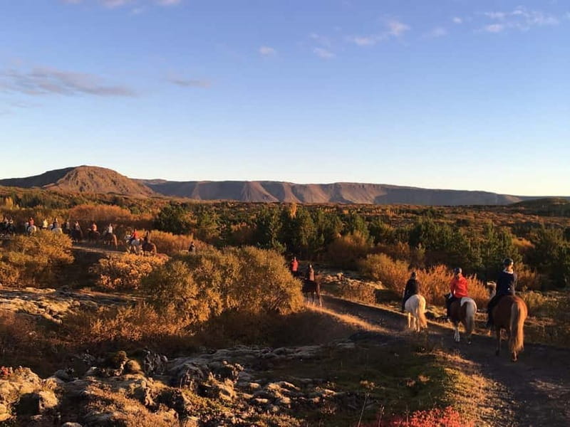 From Reykjavík: Icelandic Horse Riding Tour in Lava Fields - The Facilities and Staff Make a Difference