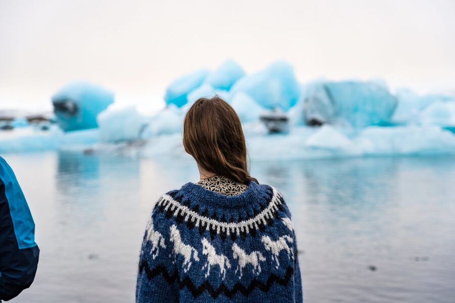From Reykjavik: Jökulsárlón Glacier Lagoon and Diamond Beach - Diamond Beach: black sand and shifting ice