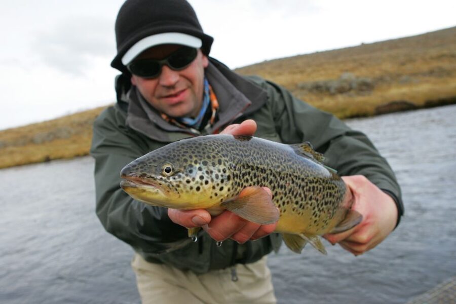 From Reykjavik: Lake and River Fishing Tour - Choosing Between River and Lake Fishing