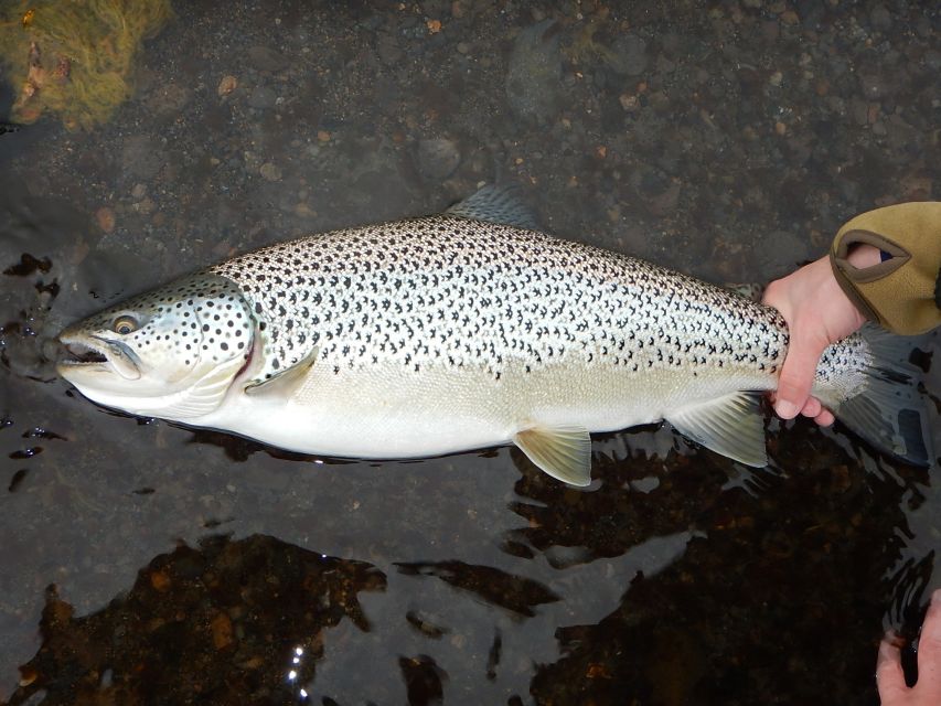 From Reykjavik: Lake and River Fishing Tour - Five to Six Hours of Actual Fishing