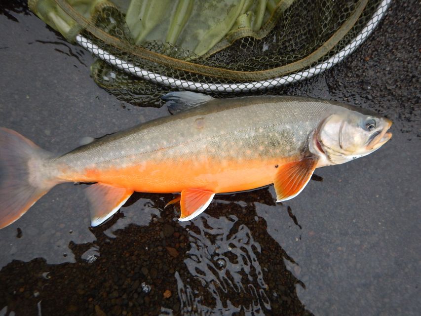 From Reykjavik: Lake and River Fishing Tour - Weather Is Part of the Test