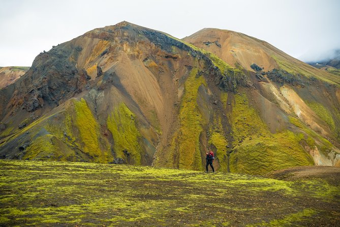 From Reykjavík: Landmannalaugar Hiking Day Tour - Brennisteinsalda and the colors of the mountains