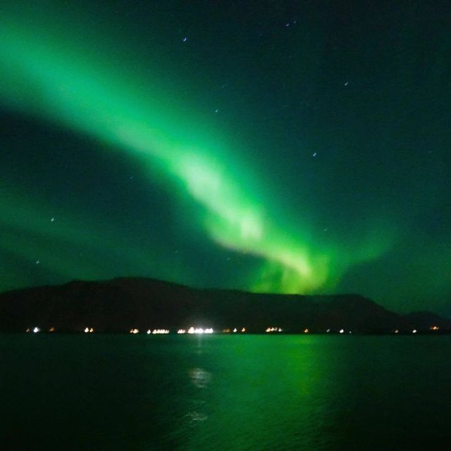 From Reykjavik: Northern Lights Boat Cruise - Meeting point, timing, and what to bring