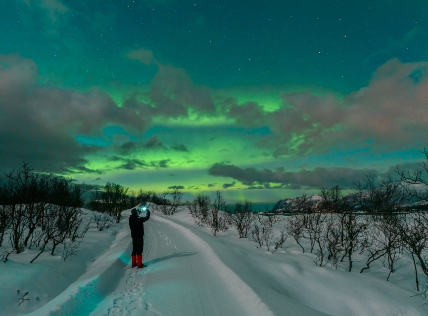 From Reykjavik: Northern Lights Chase with Expert Guide - Pickup and drop-off around Reykjavik