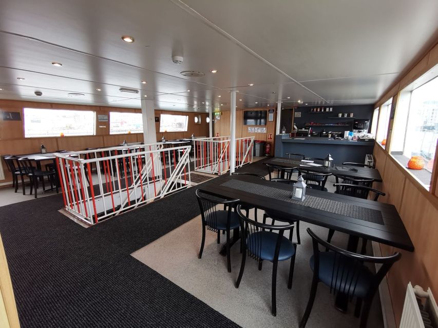 From Reykjavik: Northern Lights Sightseeing Cruise - Key points to know before sailing