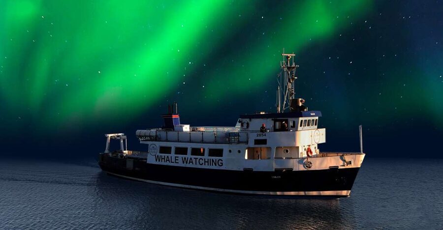 From Reykjavik: Northern Lights Sightseeing Cruise - Leaving Reykjavik by boat after dark