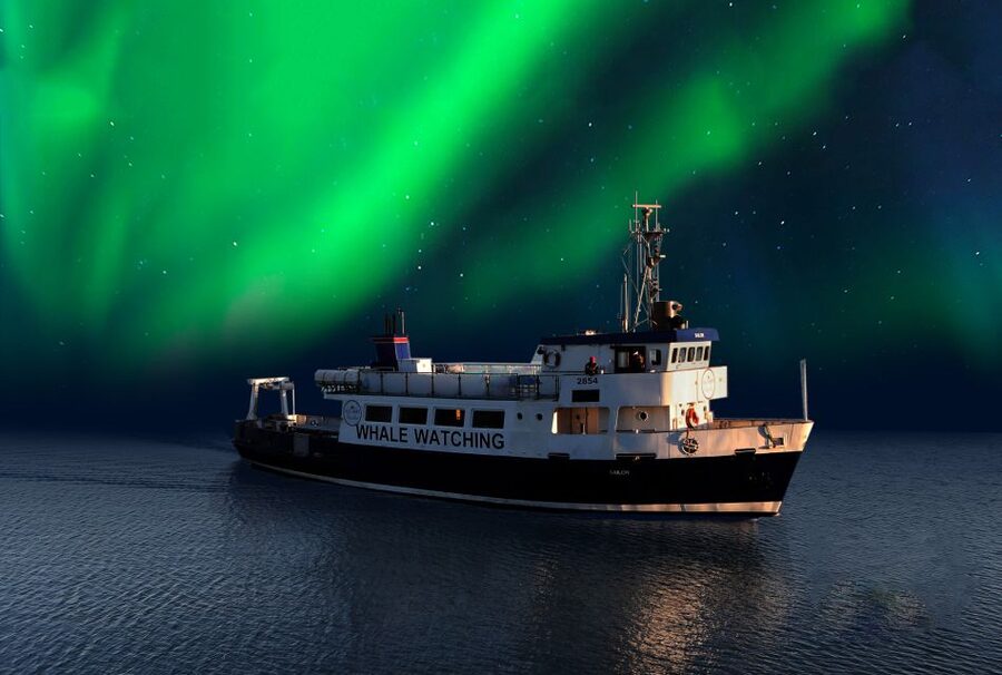 From Reykjavik: Northern Lights Sightseeing Cruise - Warm cabins, cold decks, and how to dress