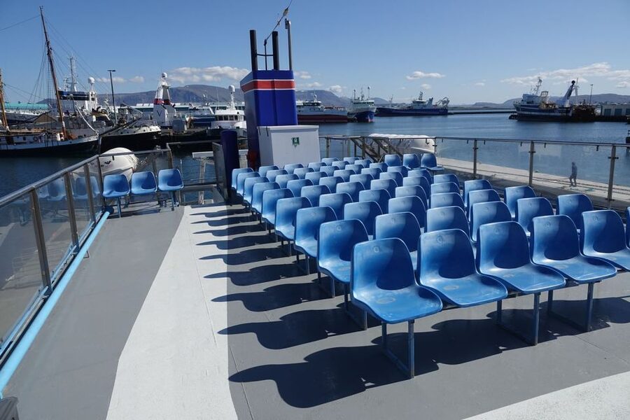From Reykjavik: Northern Lights Sightseeing Cruise - Practical planning for your Reykjavik evening