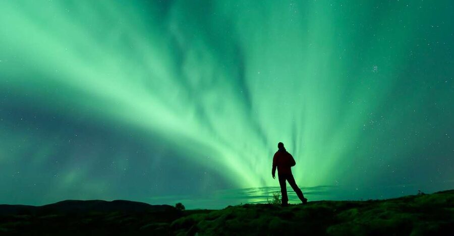 From Reykjavik: Northern Lights Tour - Key points to know before you book