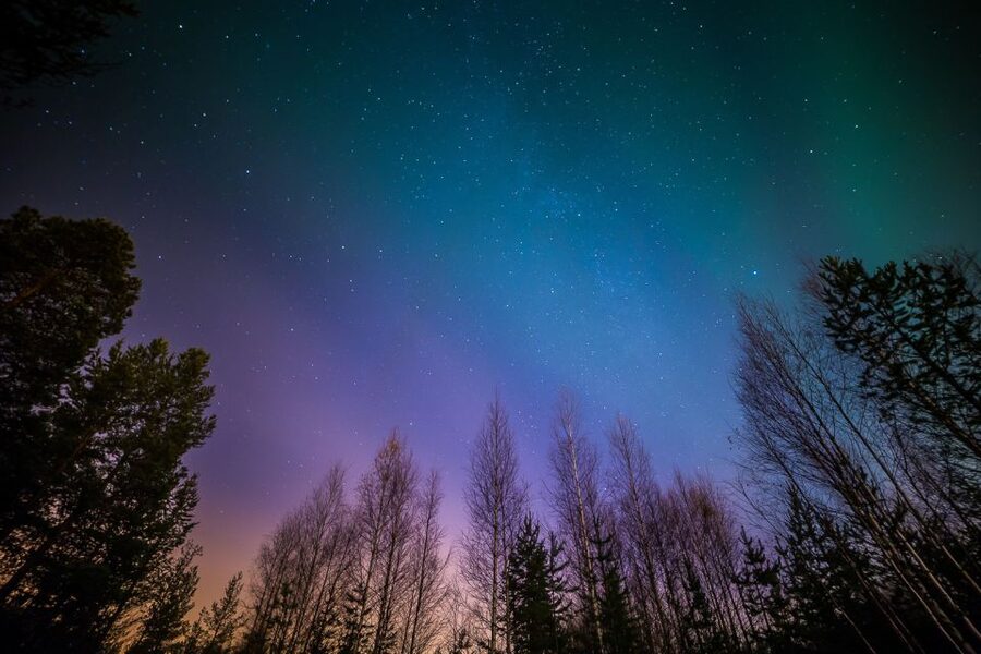 From Reykjavik: Northern Lights Tour - Comfort, crowds, and the cold
