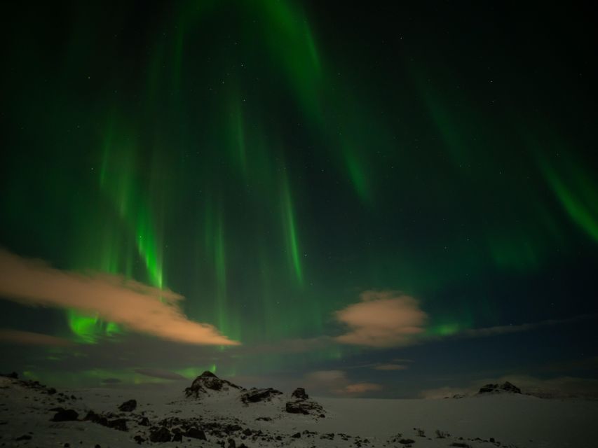 From Reykjavik: Northern Lights Tour with Hot Cocoa & Photos - Who Will Like This Experience Most?
