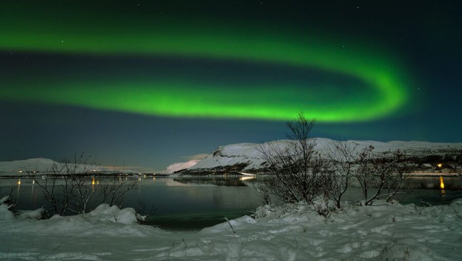 From Reykjavik: Northern Lights Tour with Lifetime Guarantee - Who will enjoy this Reykjavik aurora hunt?