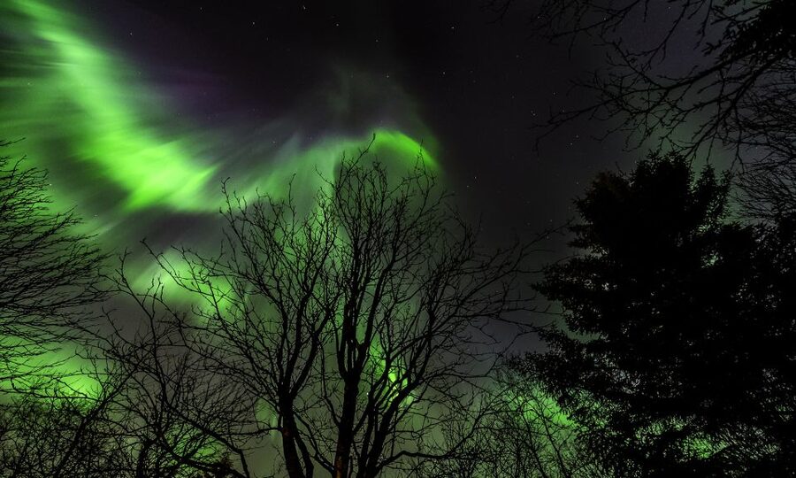From Reykjavik: Northern Lights Tour with Lifetime Guarantee - Starting at BSÍ or using hotel pickup