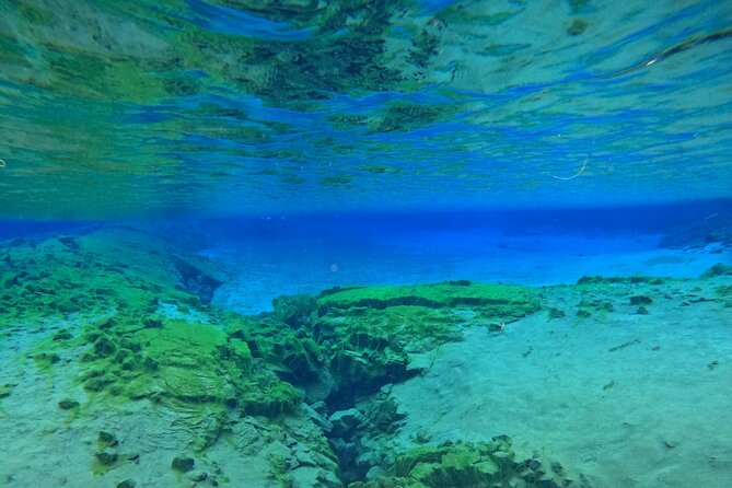 From Reykjavik- Silfra Snorkeling transfer included - Who should book this Silfra experience
