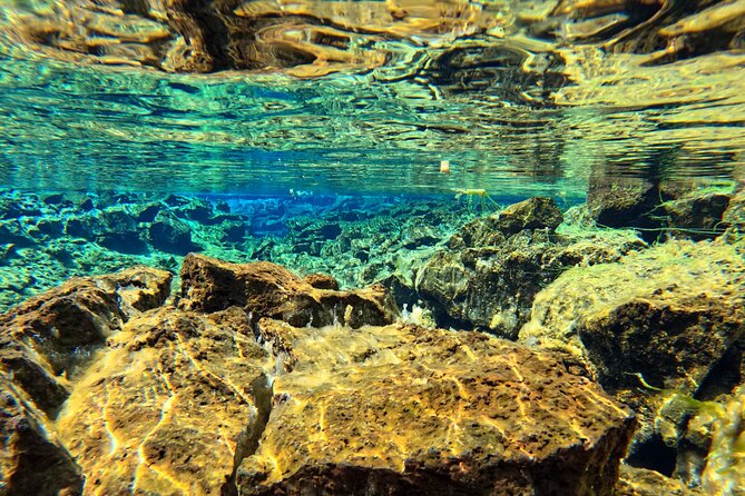 From Reykjavik- Silfra Snorkeling transfer included - Group size, guide support, and overall value