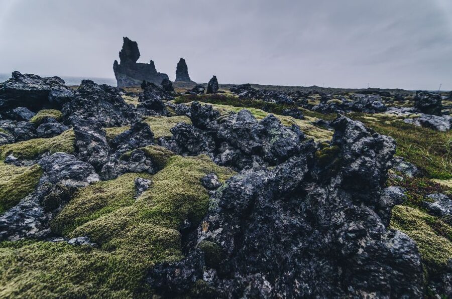 From Reykjavik: Snæfellsnes Full-Day Tour with Homemade Meal - Ytri Tunga and the seal colony
