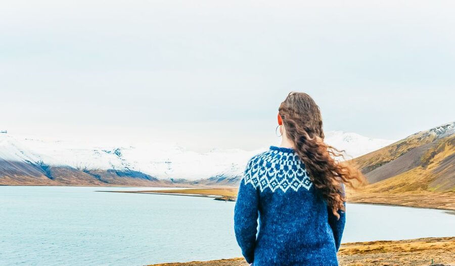 From Reykjavik: Snæfellsnes Full-Day Tour with Homemade Meal - Arnarstapi and its sea cliffs
