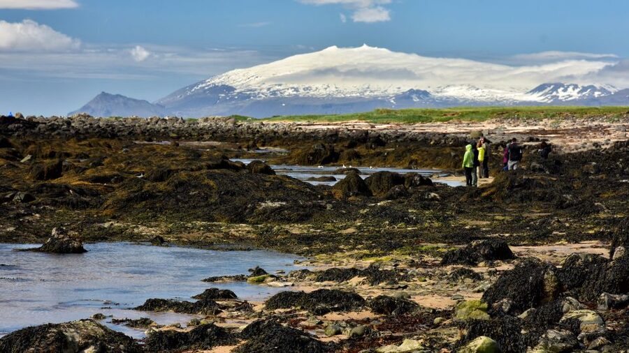 From Reykjavik: Snaefellsnes National Park - Small Group - Kirkjufell and the famous waterfall view