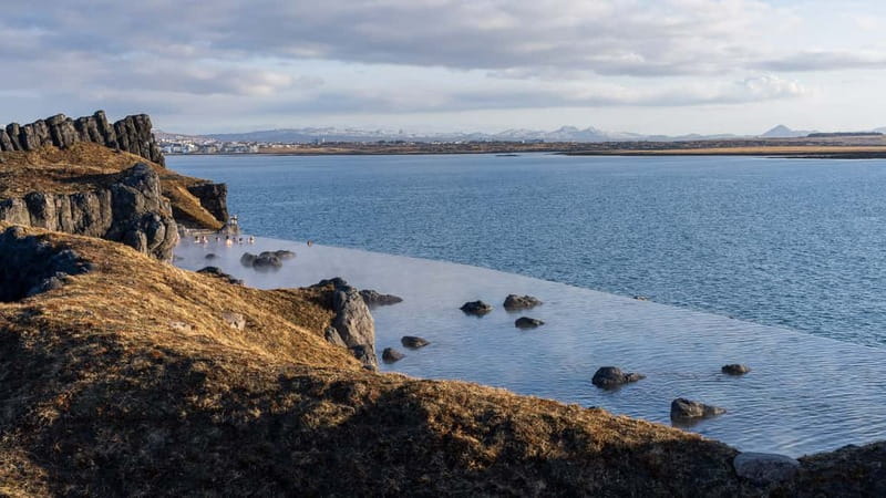 From Reykjavik: South Coast & Sky Lagoon Small-Group Tour - Skógafoss and the 370-step choice