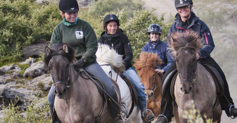 From Reykjavík: Viking Horseback Tour in Hafnarfjörður - Why the Icelandic horse makes this ride different