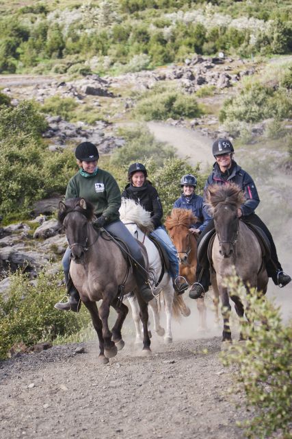 From Reykjavík: Viking Horseback Tour in Hafnarfjörður - From Reykjavík to the Hafnarfjörður riding center