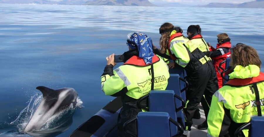 From Reykjavik: Whale Watching Tour by Speedboat - Why this small RIB feels different
