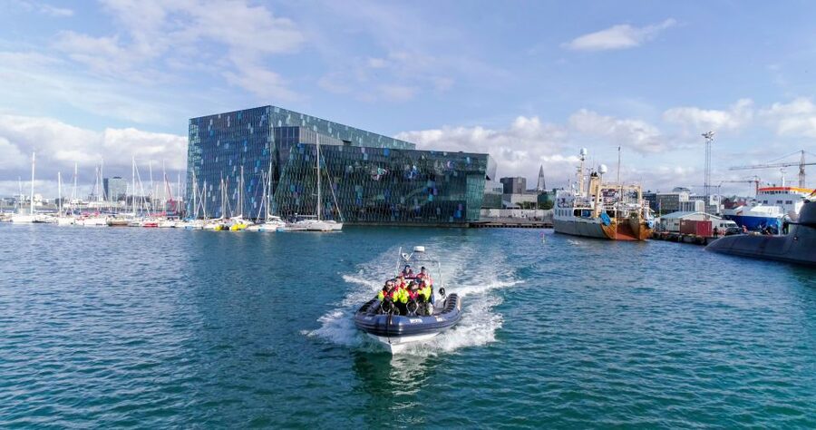 From Reykjavik: Whale Watching Tour by Speedboat - Puffin islands and close coastal views