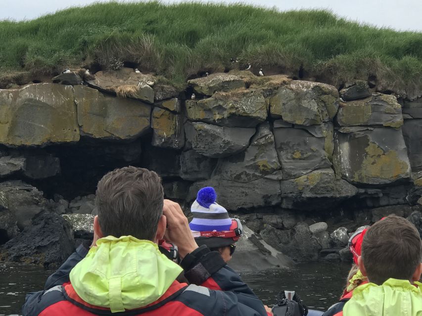From Reykjavik: Whale Watching Tour by Speedboat - How much value do you get for $192?