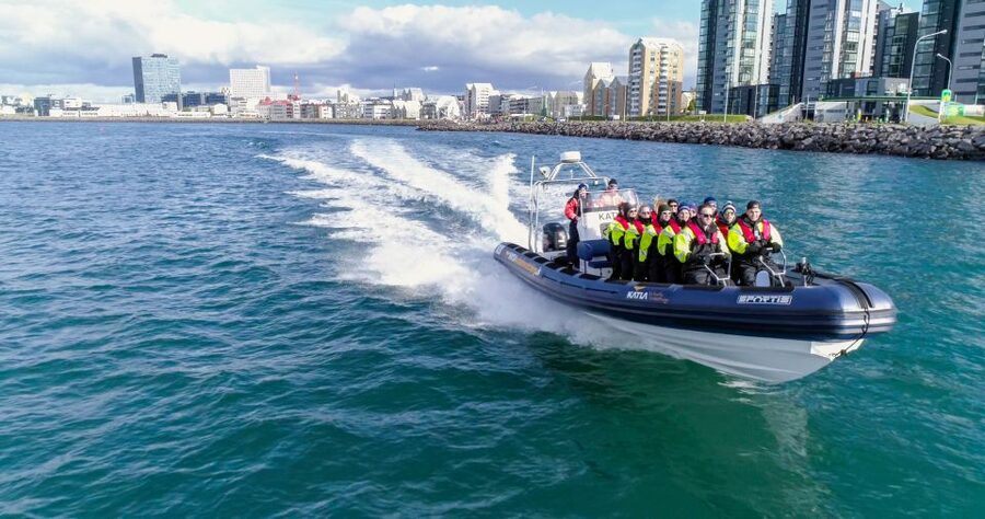 From Reykjavik: Whale Watching Tour by Speedboat - Starting at Ægisgarður 5G in Reykjavik’s old harbor