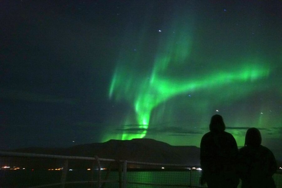 From Reykjavik: Whales and Northern Lights Boat Tour - Practical details that can save you trouble
