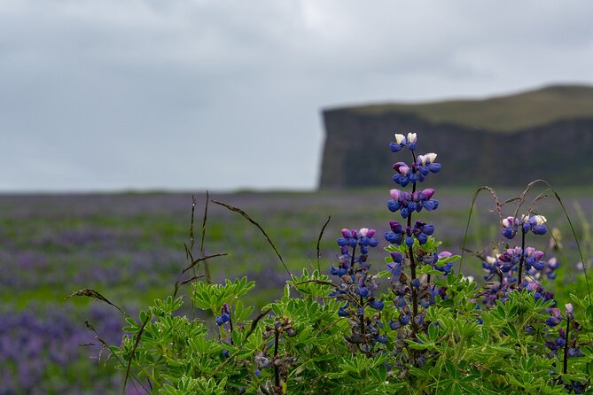 Full-Day Private Tour to Explore South Coast of Iceland - Key points to know before booking