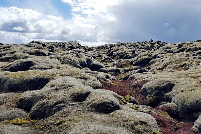 Glacier Lagoon & South Coast. Private Day Tour - Diamond Beach gives the ice a black backdrop