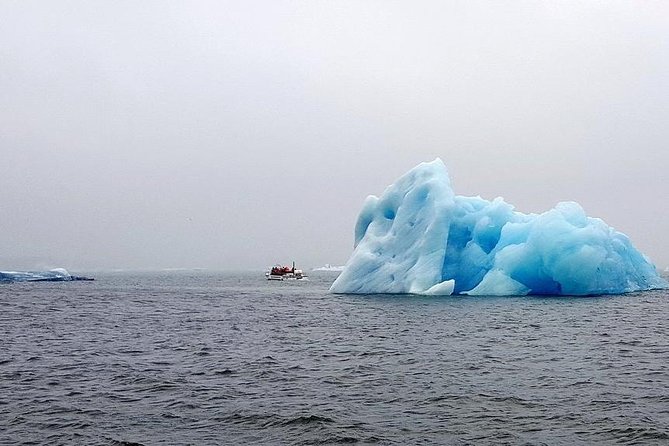 Glacier Lagoon & South Coast. Private Day Tour - What the $980 price really buys