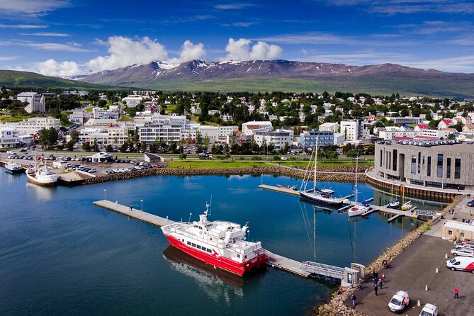 Goðafoss Waterfall & Forest Lagoon from Akureyri Port - Goðafoss: a powerful first stop