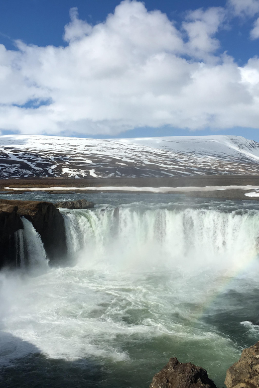 Godafoss Waterfall Short Day Tour from Akureyri Port - Who should book this excursion?