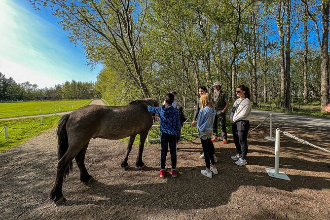 Golden Circle and Lunch at Fridheimar Tomato Farm - with photos - Gullfoss: the Golden Circle’s big visual payoff