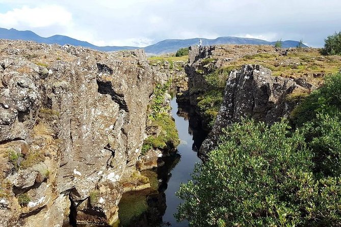 Golden Circle Express. Private Tour from Reykjavik - Food, timing, and weather considerations