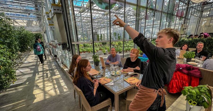 Golden Circle & Lunch at Fridheimar Tomato Farm- with photos - The guide makes a major difference