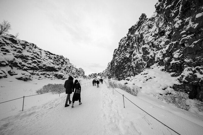 Golden Circle, Northern Lights and Blue Lagoon Tour with Ticket - A 14-hour plan built for limited time