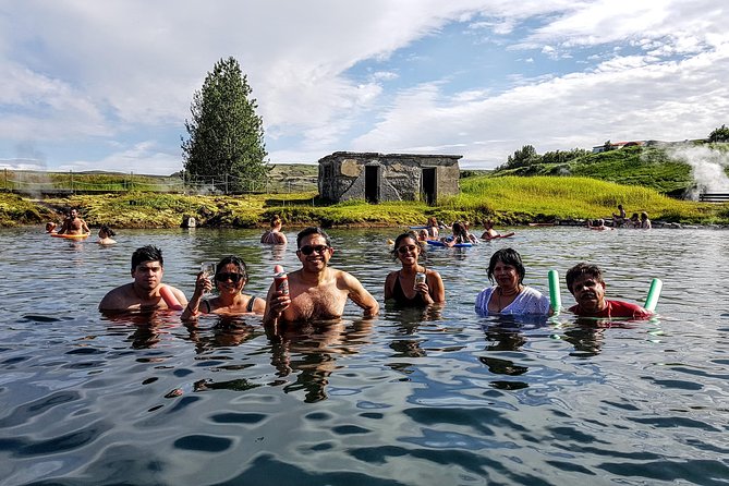 Golden Circle Private Day Tour - up to 9 passengers - Price, group size, and real value