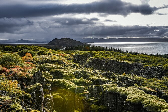 Golden Circle, Secret Lagoon & Friðheimar (Small Group) - Timing, weather, and the few rough edges
