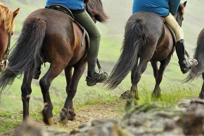 Golden Circle & Viking Horse Experience - Þingvellir: where geology and old Iceland meet