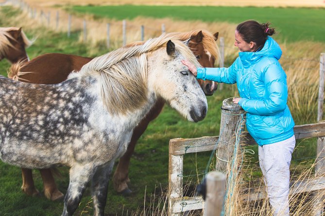Golden Circle & Viking Horse Experience - Gullfoss: the day’s biggest visual payoff