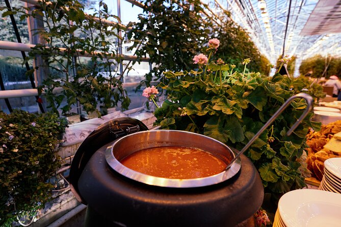 Golden Circle with Tomato Farm Lunch & Secret Lagoon Bathing - Friðheimar tomato farm for soup and bread